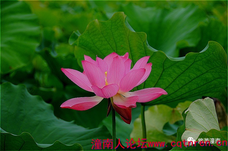 0e163879a14cefb0d937d8e87a22ba20.jpg