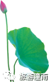 079c389252cf57ac3647befded11ea1c.png