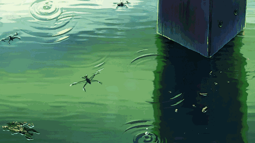 09861791417ff8177d251b5359204140.gif