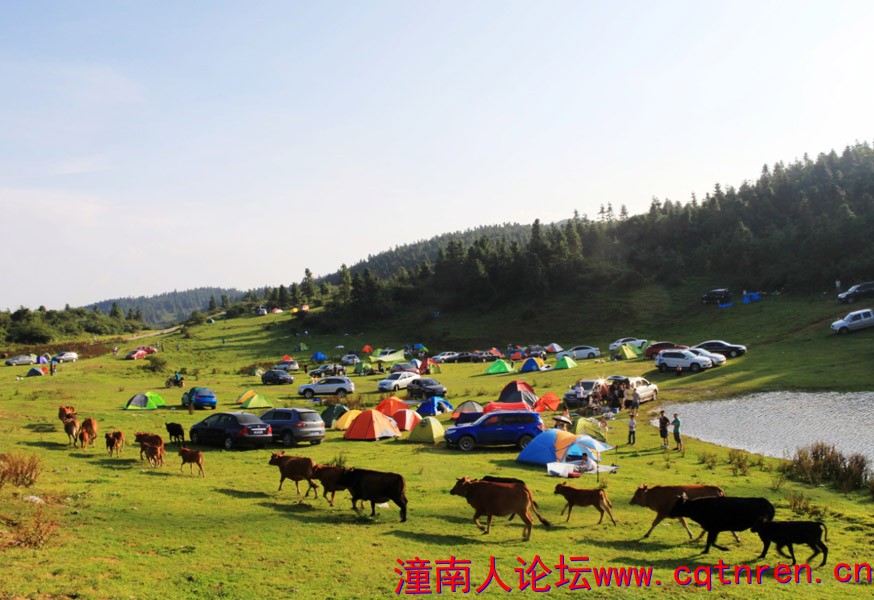 图片7.jpg