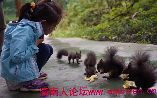 图片5.jpg