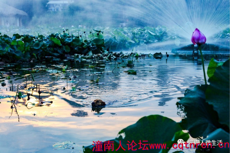 1d7e11eb767adf06b9706c87cf7a6f60.jpg