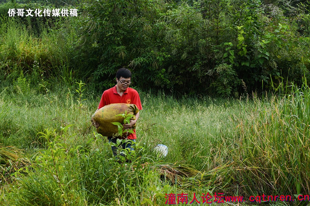 WCX_6224.jpg