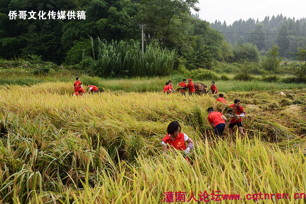 WCX_6243 拷贝.jpg