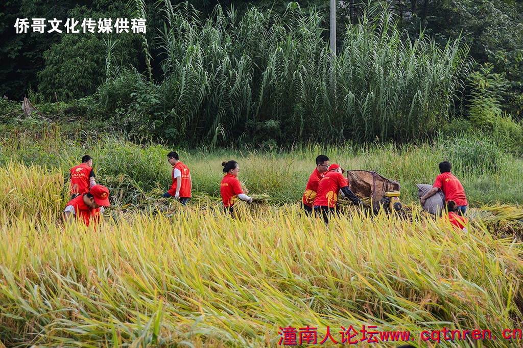 WCX_6270 拷贝.jpg