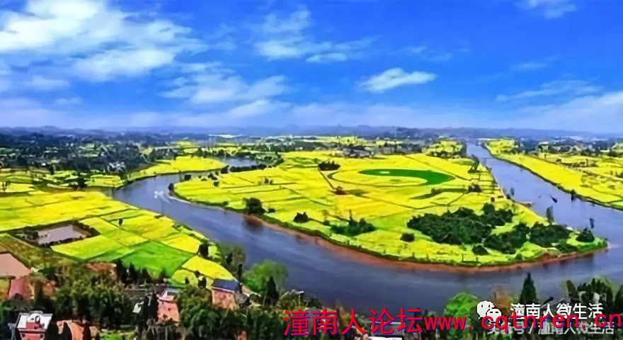 8e567a9f9c4c10ef4784ef61dce3cb4e.jpg