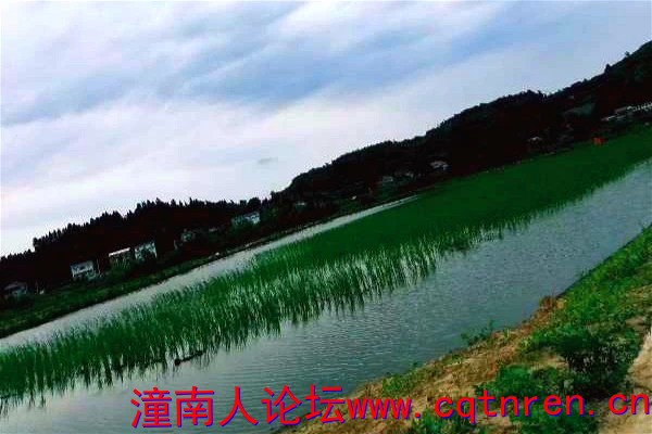 957a05808c3ad523afb209e0b551774c.jpg