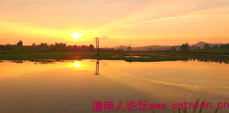 42a33a8e55b91a4715acfd7484d810d0.jpg