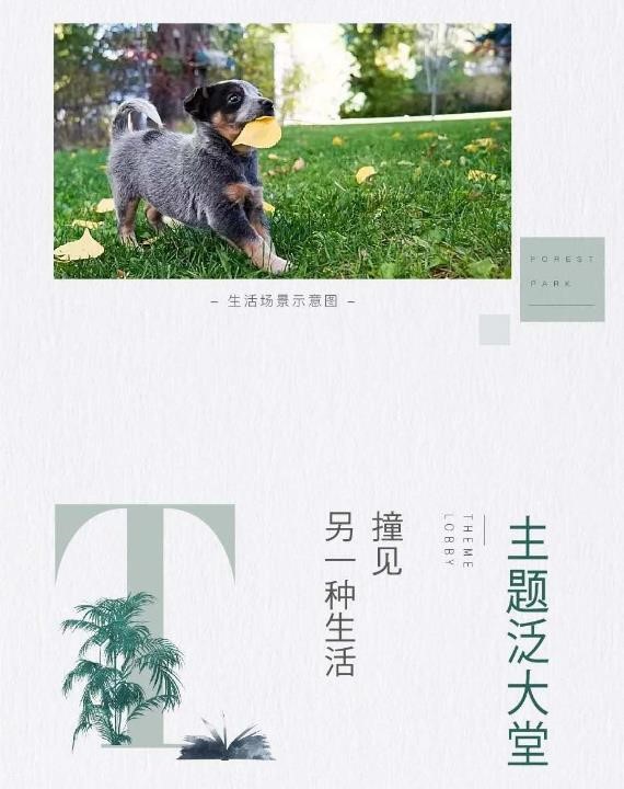 图片6.jpg