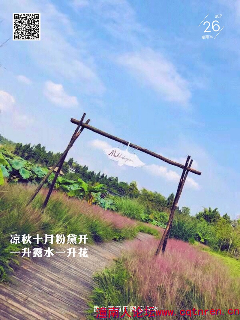 8f5ed888daa5e9f60304ff7f1f83a396.jpg