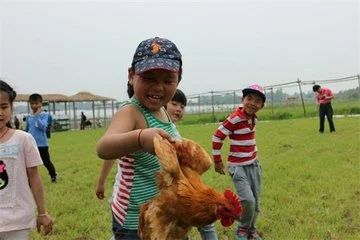 72f23fc64e3dabd9f97c77e5ec62dfab.jpg