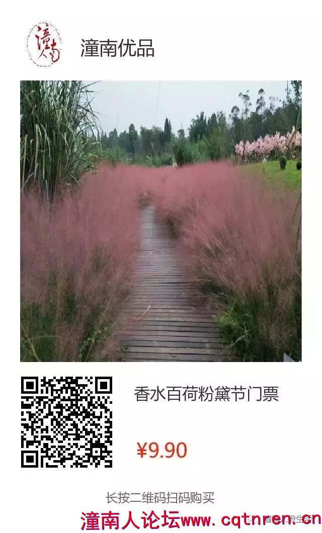 e28c28ea3f77f00610e2f9f3a37c5b9f.jpg
