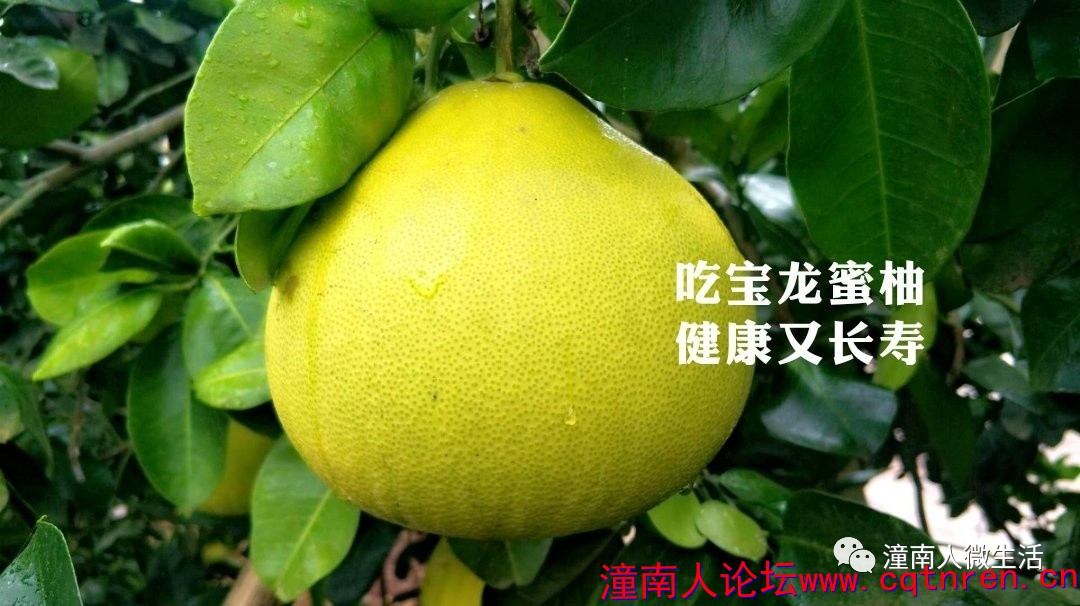 a845400a1ab137792b0e3e02887ed4ab.jpg