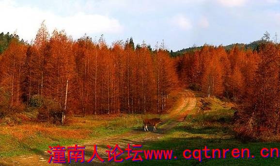 379fe454a25b7c6bc791acda24669969.jpg