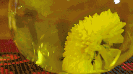 2f33accd8286581b928e5b325a58ee15.gif