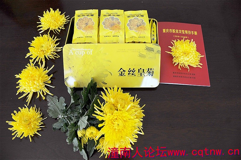 8dfda9588e2cd508e0ad87c24454f944.jpg