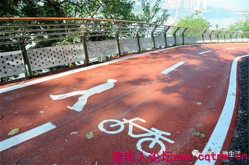 1cb66a79ecee36cf5dfca6295c730d45.jpg