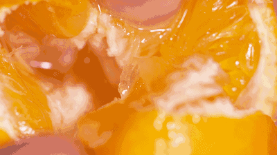 1825c93a571d32e1782b04843775bb43.gif