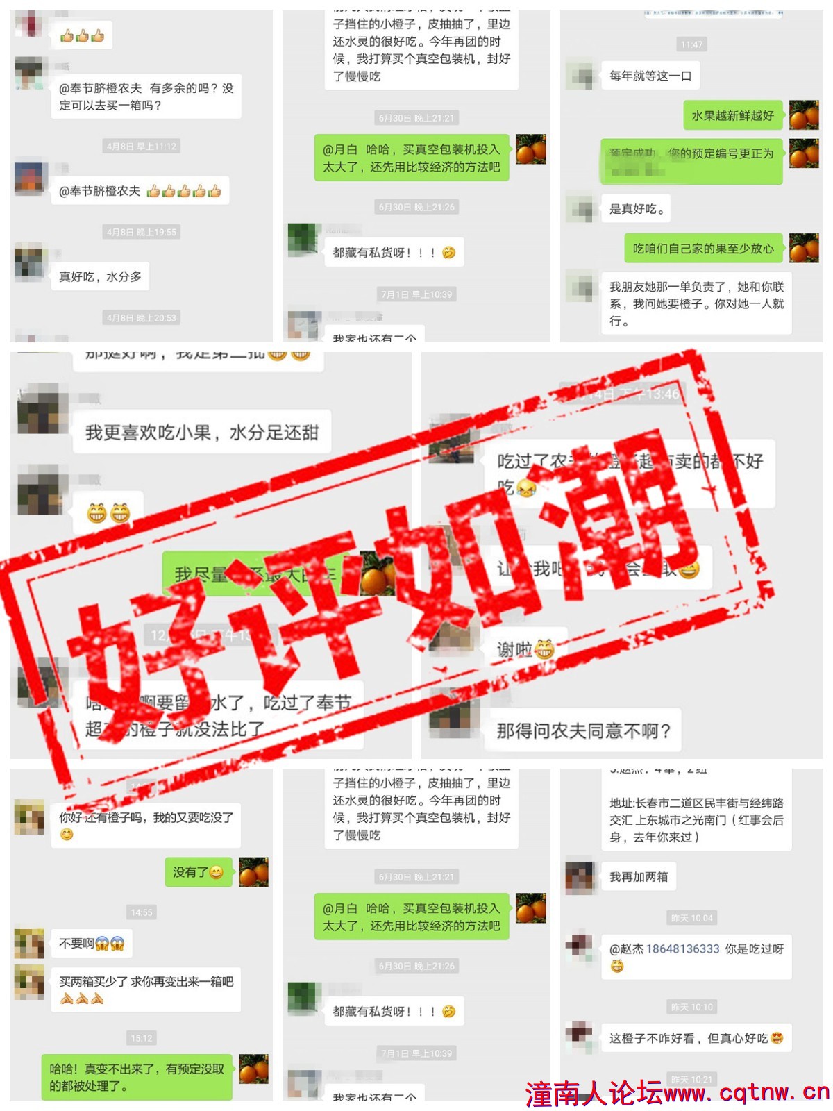 fc749efb591be2a9d3c4b00066861c86.jpg