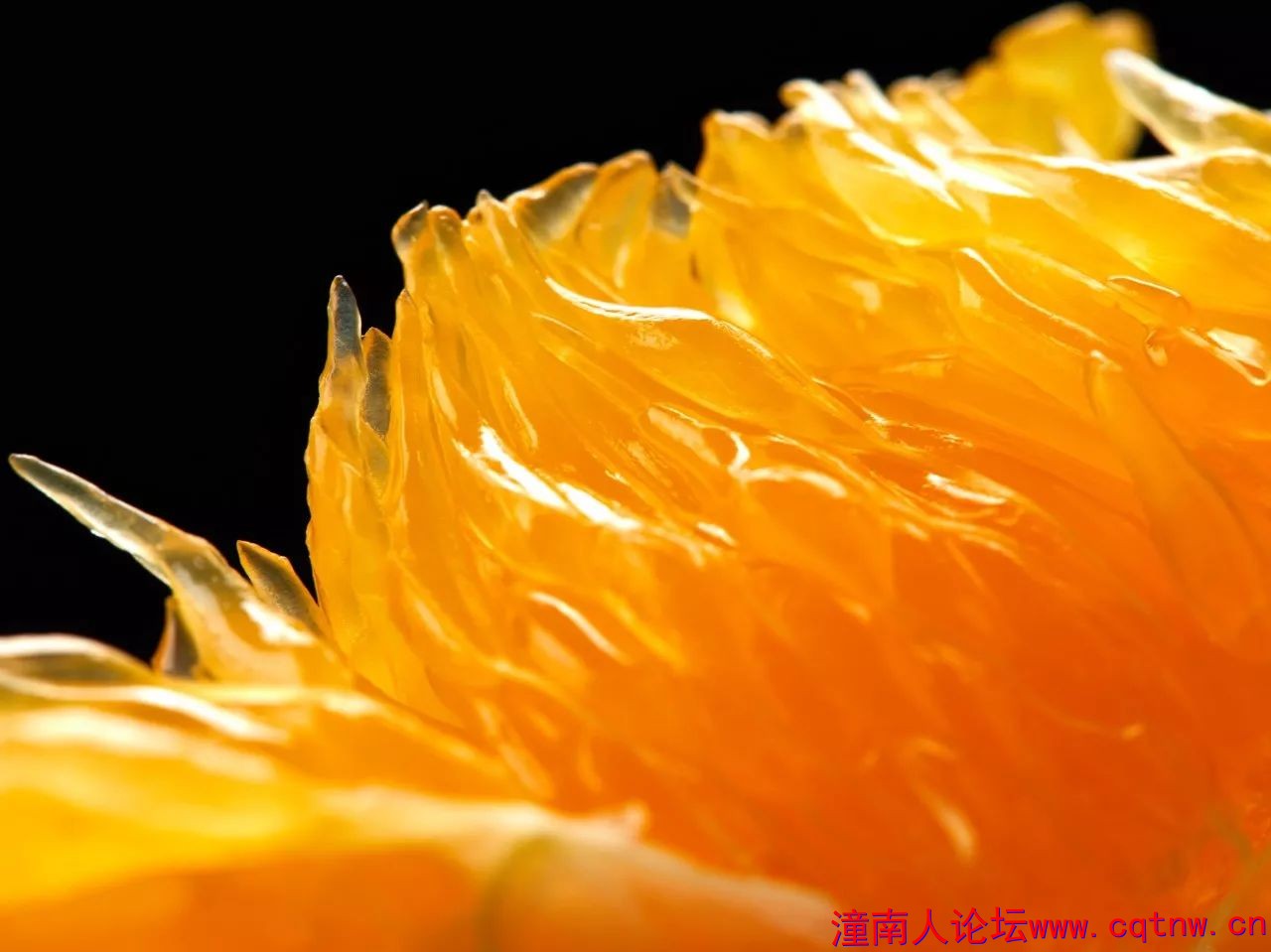 80382fd41f3e250a03705e2a48db52e1.jpg