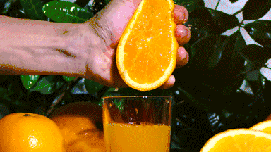 ba132cf69708d7ba0f3a99656e9b7858.gif