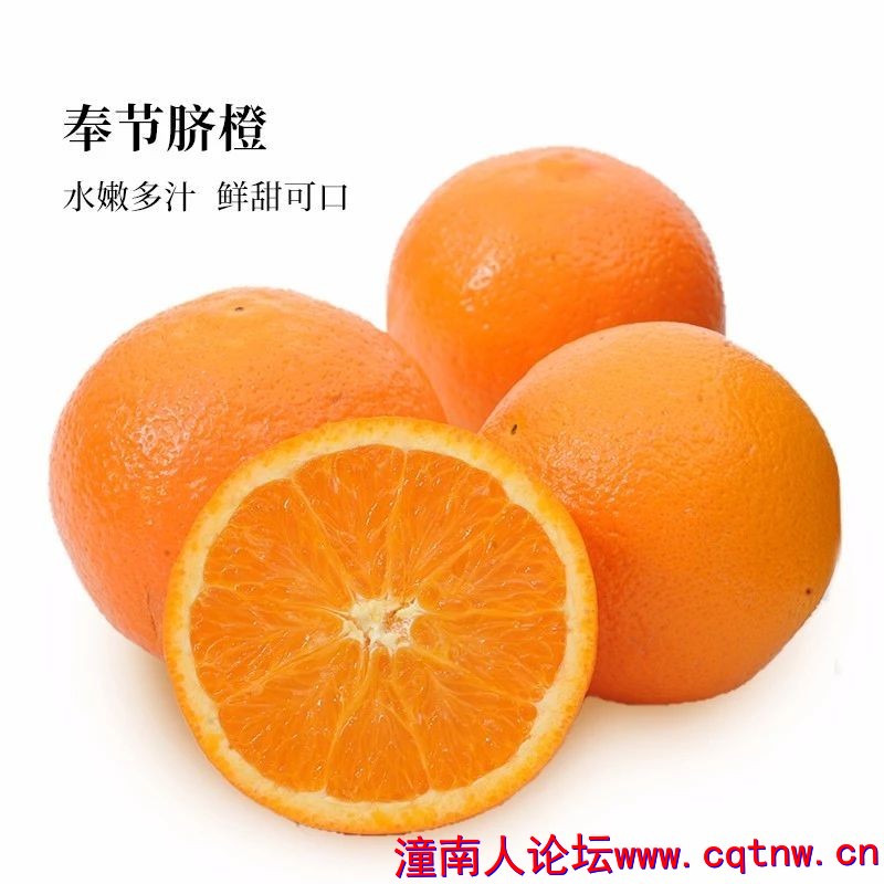 d7def8d70998996e12514d5f8ad09e48.jpg