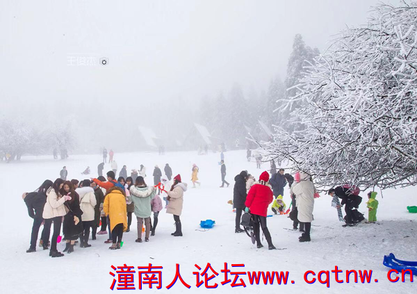 图片3_副本.png