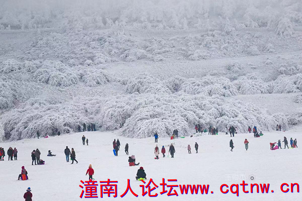 图片6_副本.png