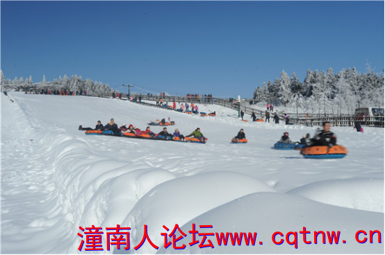 图片11.png