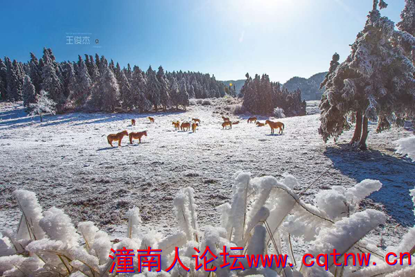图片12_副本.png
