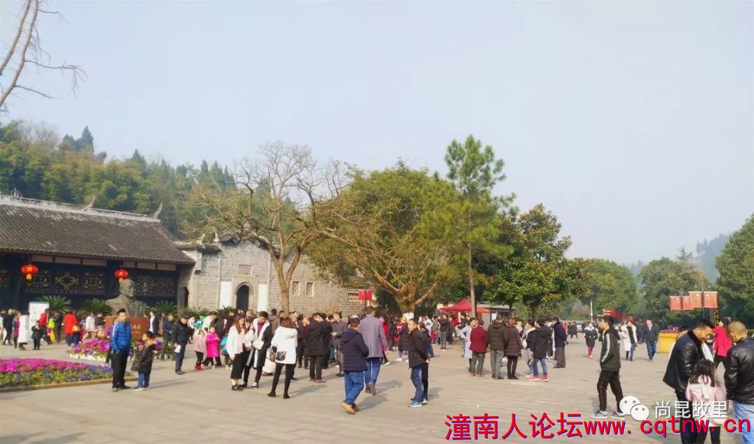 190605tfmtpp9tnbvpab08.jpg