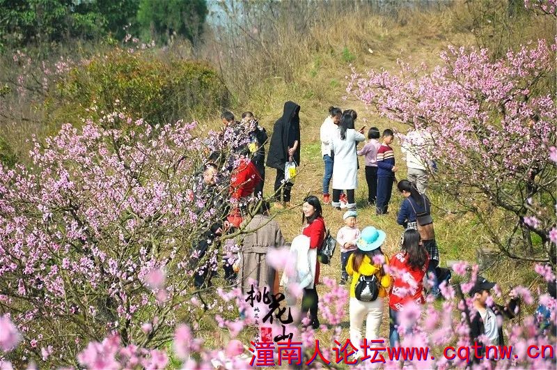 170506euu4u1j4j55517uu.jpg