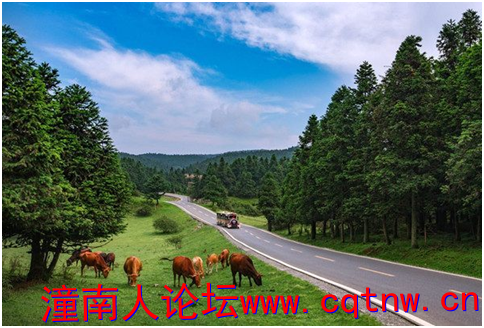 微信图片_20190319162213.png
