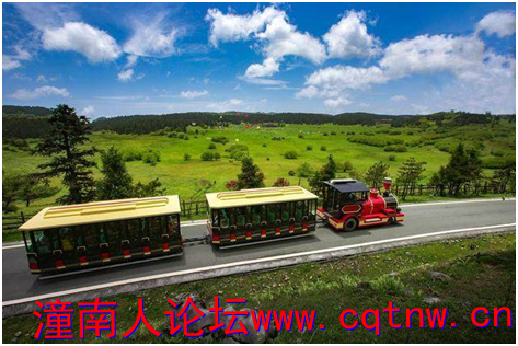 微信图片_20190319162218.png