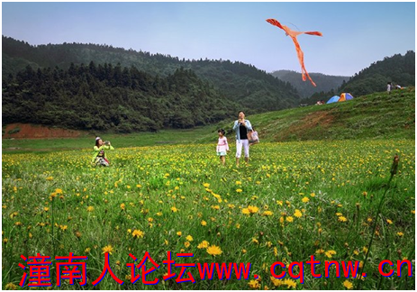 微信图片_20190319162222.png