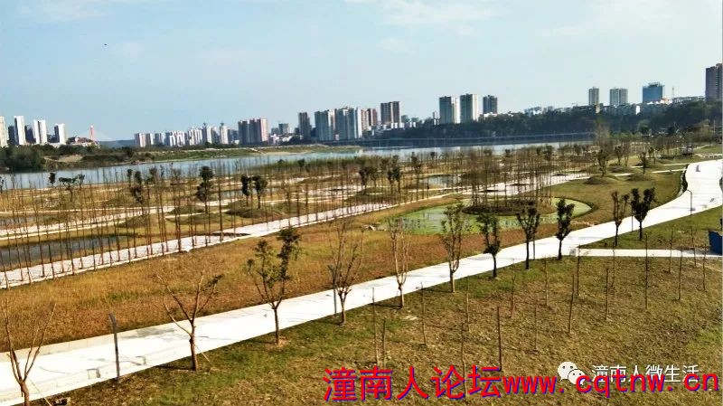 103311rqnsnuzunj8oyorz.jpg