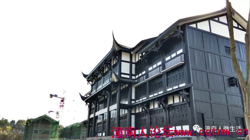 103312iu7qyp7zy8y7npnl.jpg