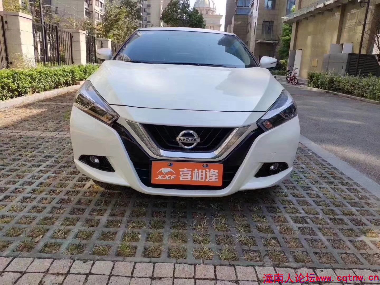 微信图片_201812031342211.jpg