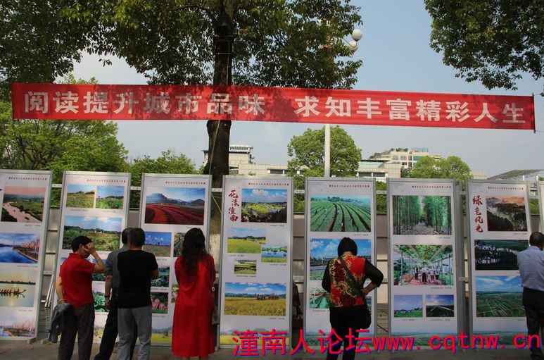 164331bt12jjxae155syet.jpg
