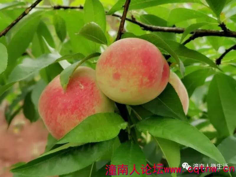 微信图片_20190520164836.jpg