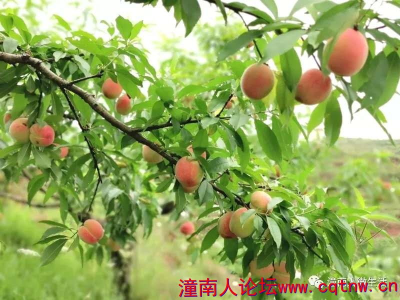 微信图片_20190520165043.jpg