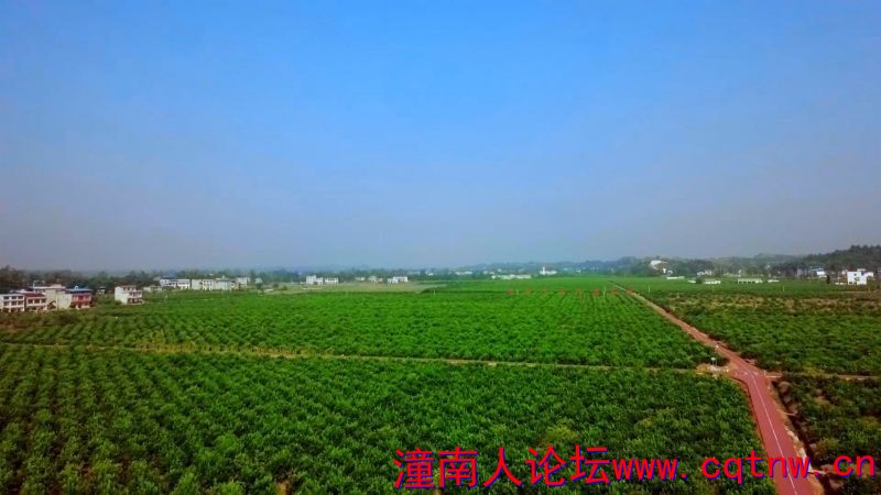柏梓3.jpg