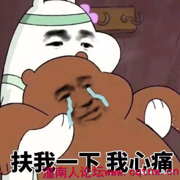 112242pzush8xsfxisx84a.jpg