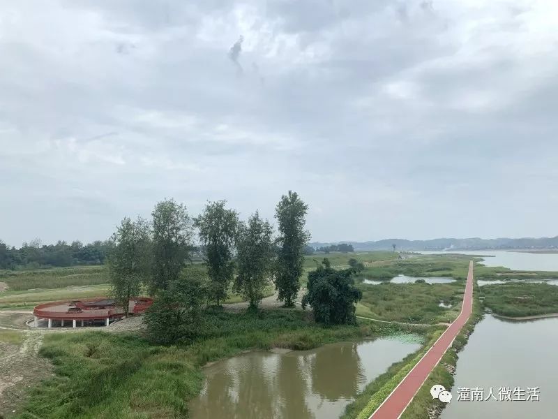 160045qogrptflqo7bfept.jpg