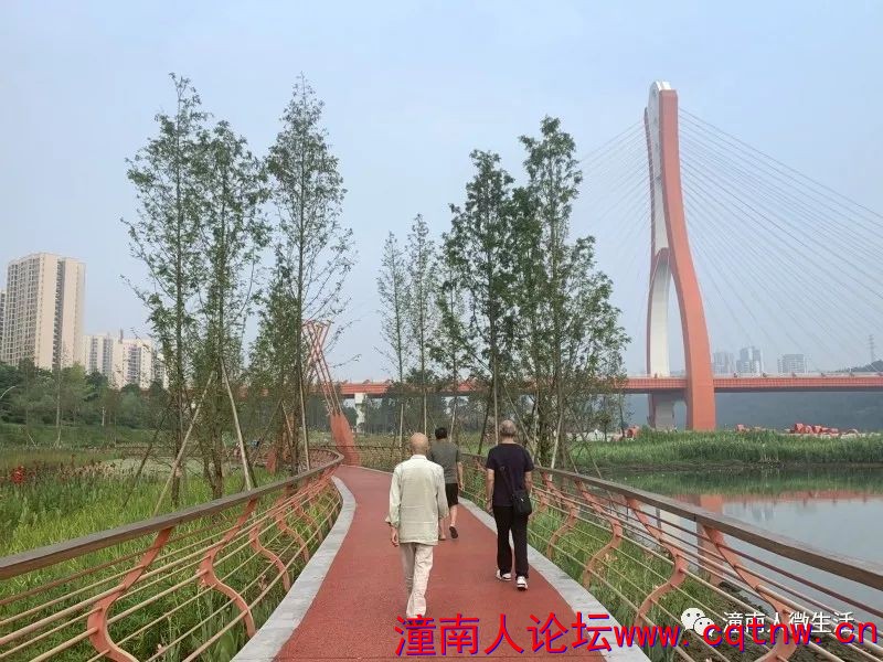 153415n36xfaxwxnqsnbgk.jpg