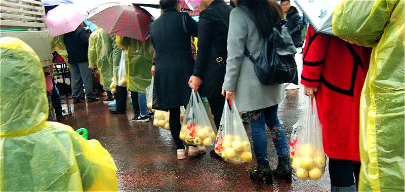 meitu_70.jpg