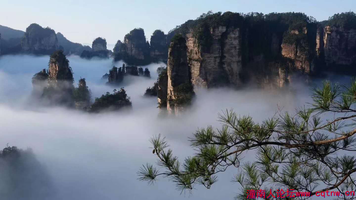 微信图片_20200428164335.jpg