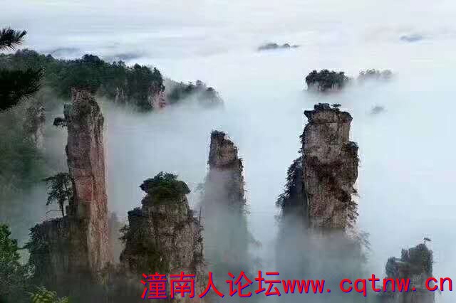 微信图片_20190515184138.jpg