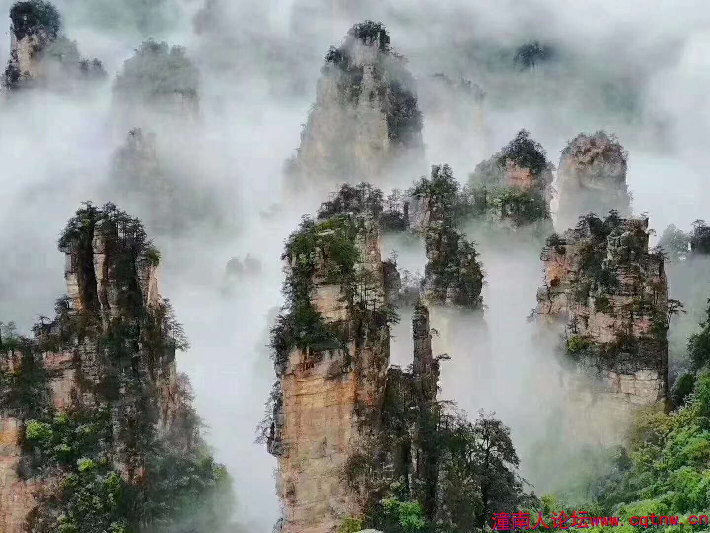 微信图片_20190515184202.jpg
