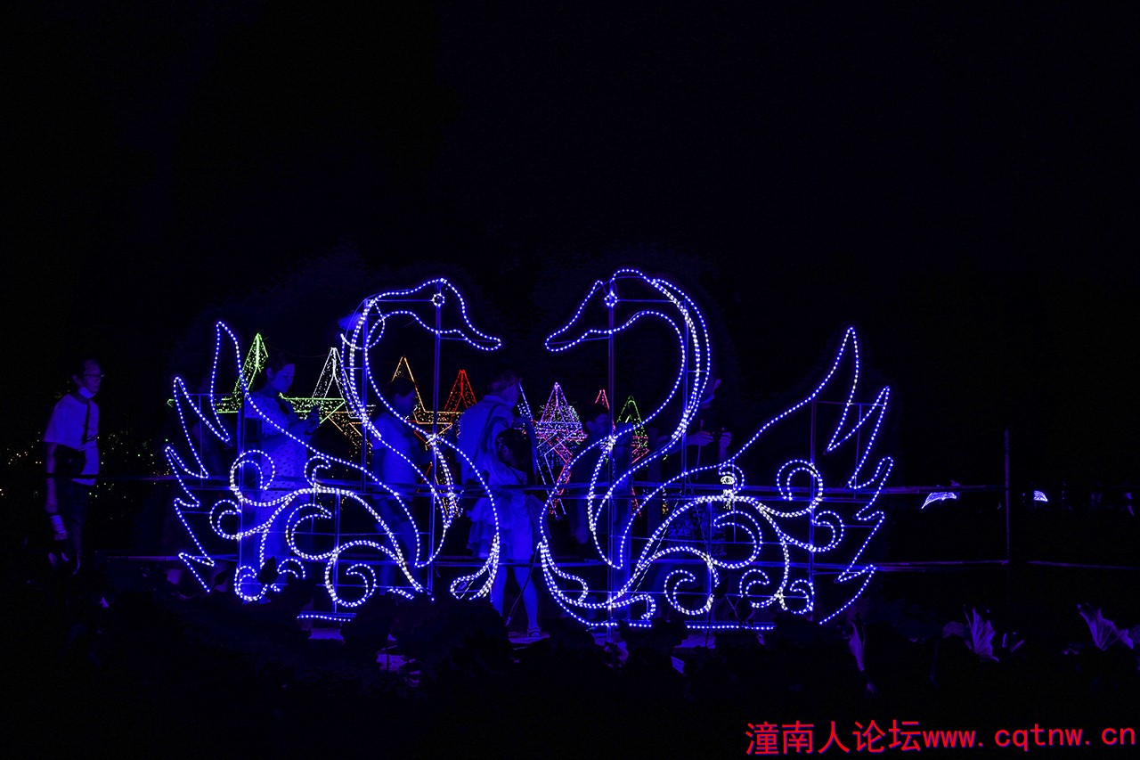 DSC01868.jpg